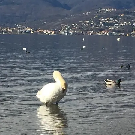 L'angolo Dei Pescatori Отель Cerro (Laveno-Mombello)